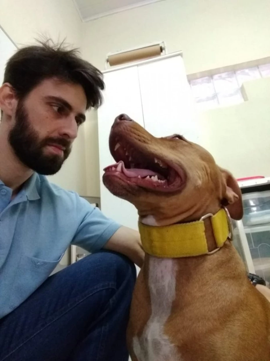 Foto 4:  — Dr. Thiago Luiz Santos Tross - Médico Veterinário